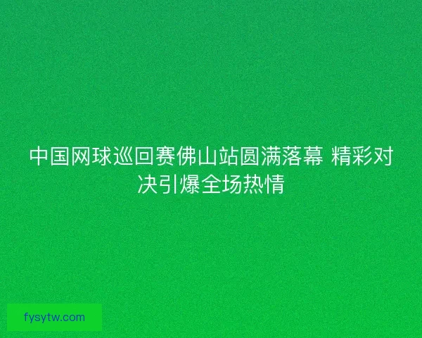 中国网球巡回赛佛山站圆满落幕 精彩对决引爆全场热情